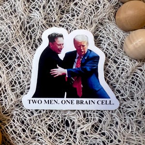 Funny Anti-Trump & Elon Musk Vinyl Sticker - Political Satire