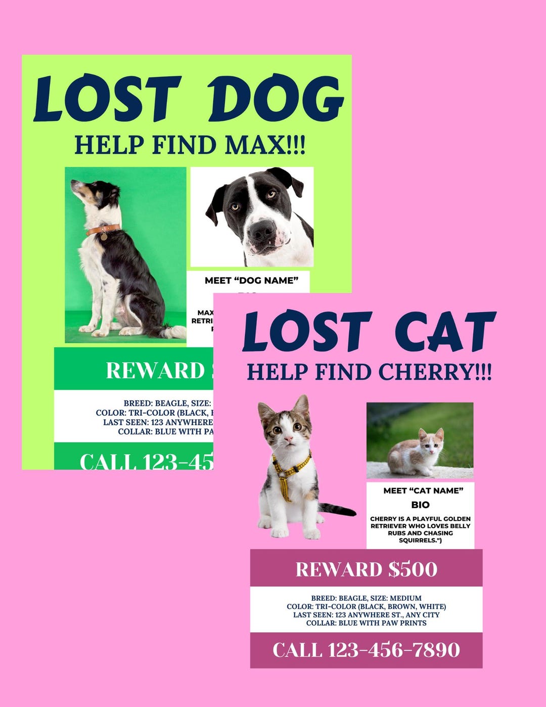 Missing Pet Flyer Template: Lost Dog & Cat Poster (canva, A4/US Letter ...