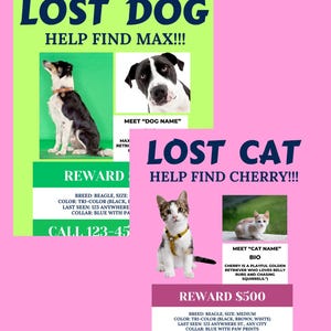 Plantilla de póster de perro perdido, mascota perdida, gato perdido, póster familiar, Canva tamaño carta A4 (EE. UU.), descarga instantánea, editable e imprimible.
