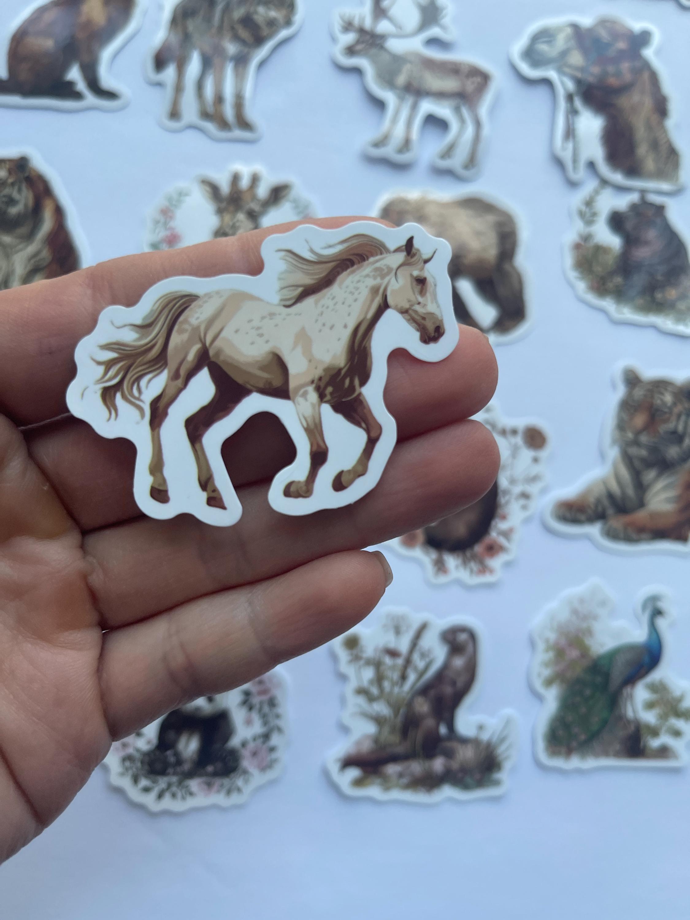 Zoo Stickers,vinyl Stickers,10-50 Pcs Random Pack, FREE Shipping ...
