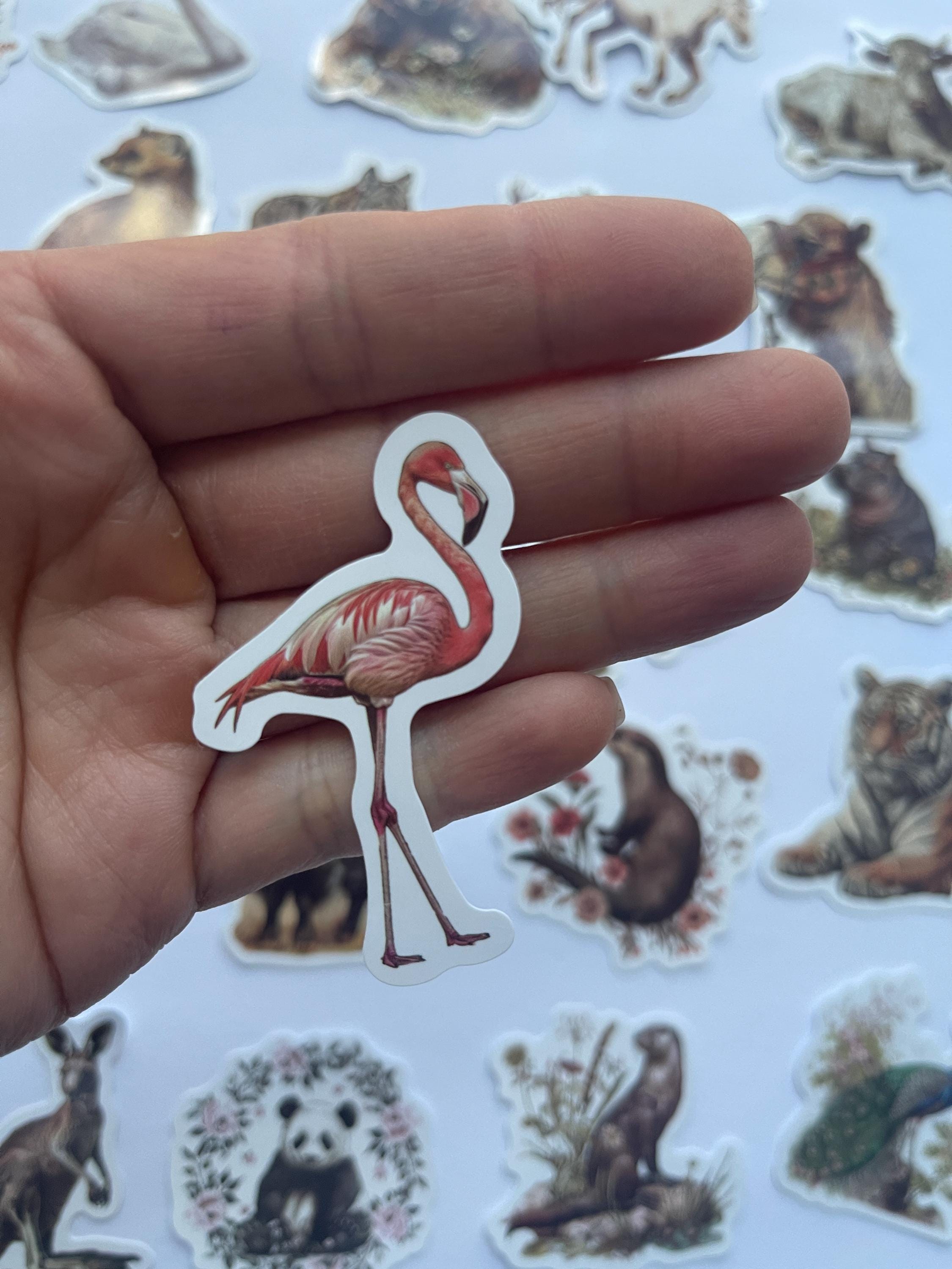 Zoo Stickers,vinyl Stickers,10-50 Pcs Random Pack, FREE Shipping ...