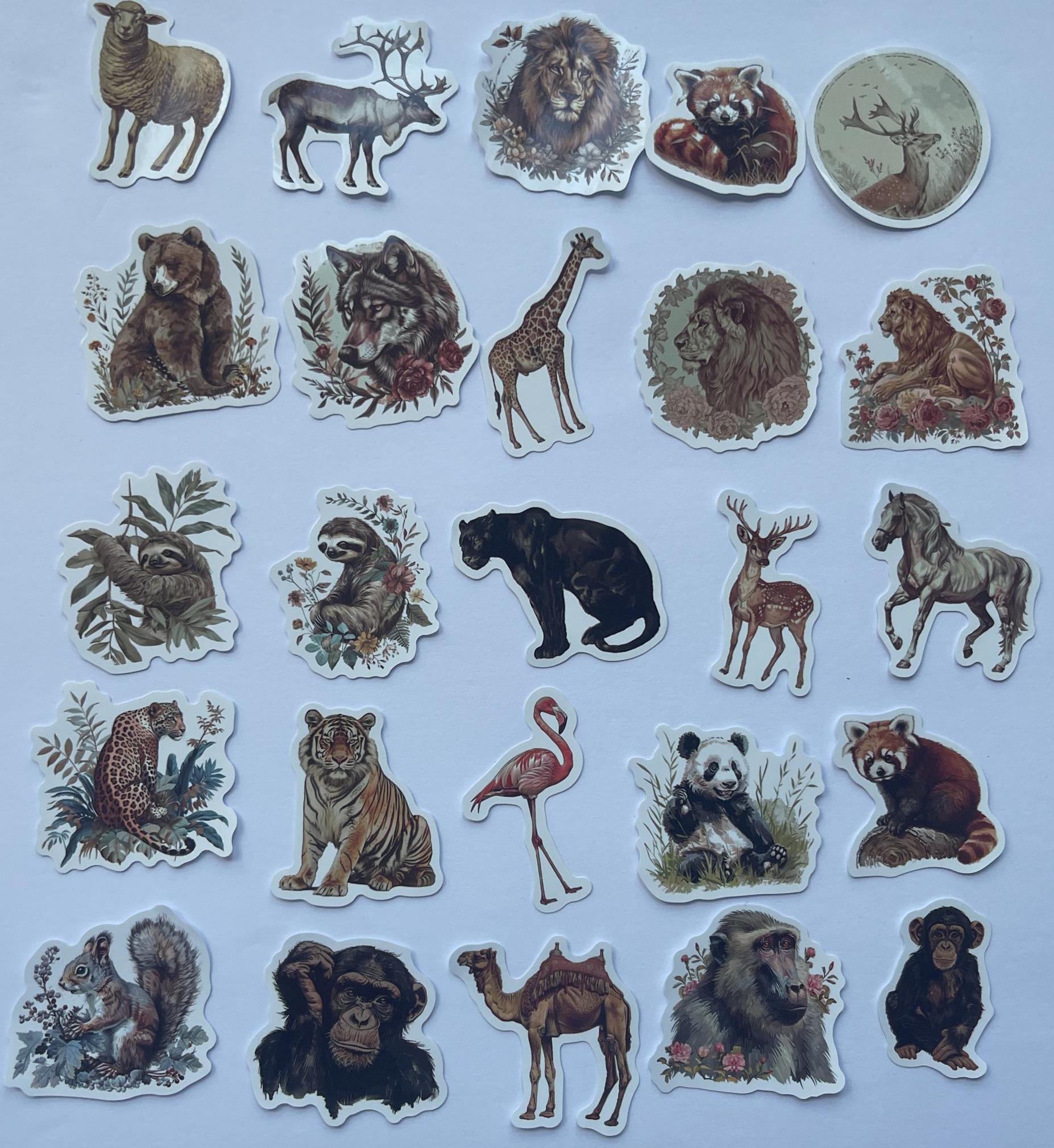 Zoooooom Sticker Zoo Stickers,vinyl Stickers,10-50 Pcs Random Pack, FREE Shipping ...