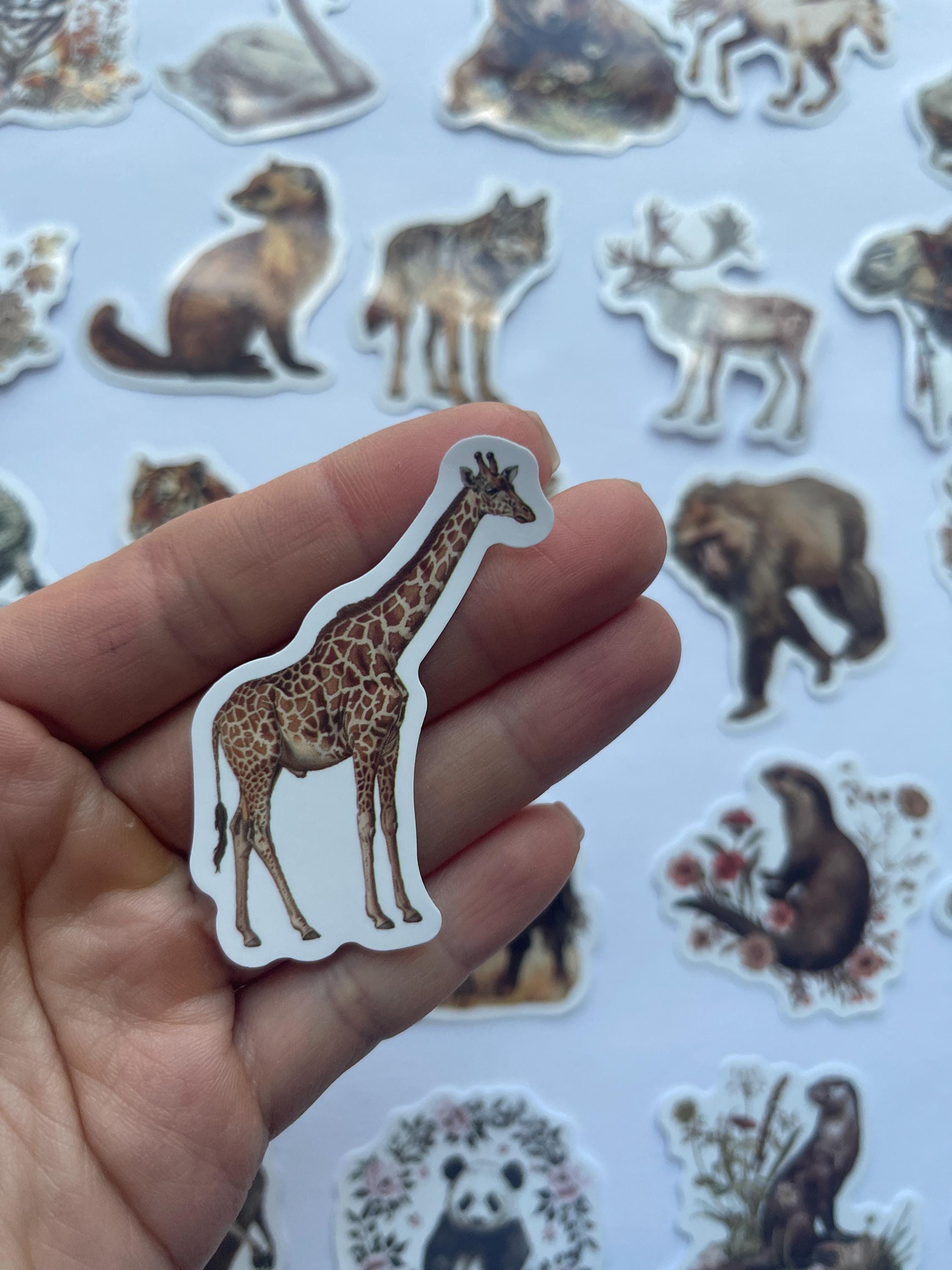 Zoo Stickers,vinyl Stickers,10-50 Pcs Random Pack, FREE Shipping ...