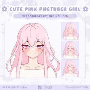 Cute Pink Hair Female PNGTuber | Ready For Veadotube | Twitch | Avatar Streaming | Vtuber Model | OBS | Premade | Discord PNG Tuber Model