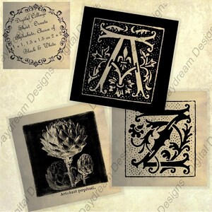 May include: A digital collage sheet featuring ornate alphabet letters in black and white. The sheet includes a variety of letter styles and sizes, perfect for adding a touch of vintage elegance to your projects.