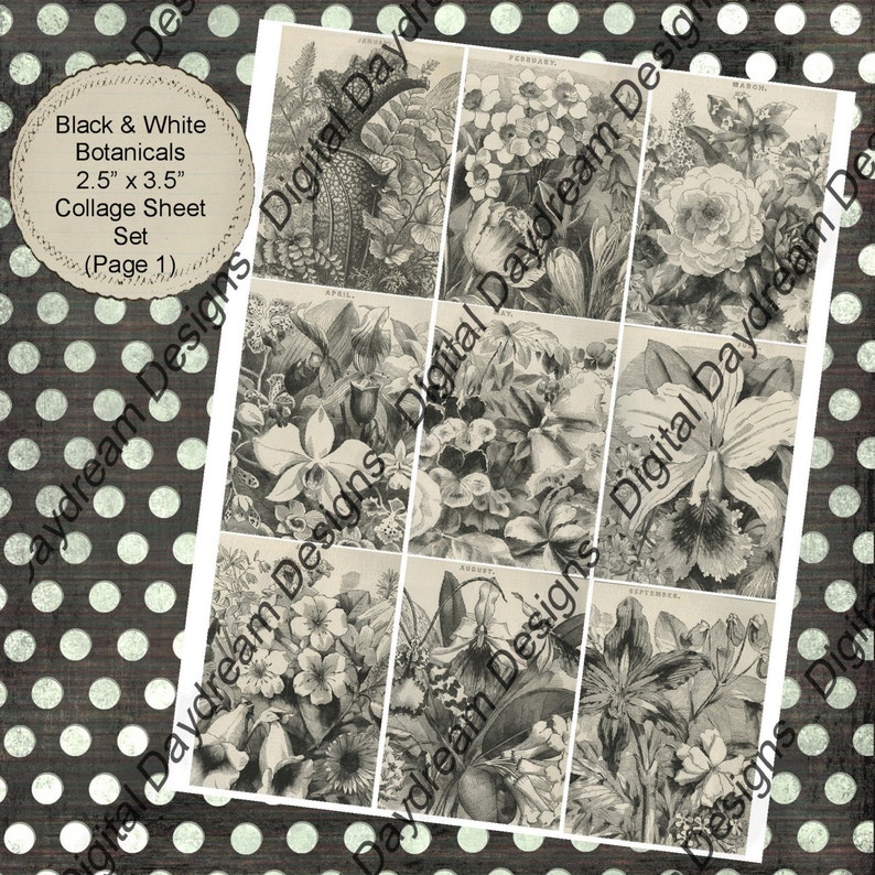 Instant Download Digital Printable Collage Sheet 2 5 X 3 5 Atc Aceo Size Black And White Almanac Botanicals Clip Art Art Collectibles Commentfer Fr