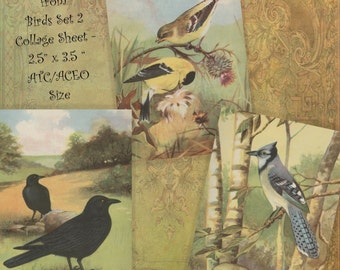 Instant Download Printable Collage Sheet 2.5 x 3.5 ATC ACEO size - Birds Set 2