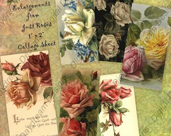 Folha de colagem imprimível para download instantâneo tamanho 1 x 2 - Just Roses