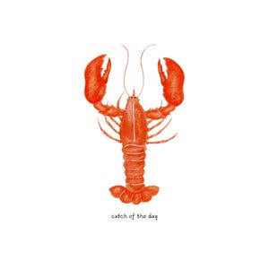 red lobster png | fisherman core aesthetic clipart | dtf dtg sublimation art | t shirt mug wall decor stickers | ocean sea beach fashion fun