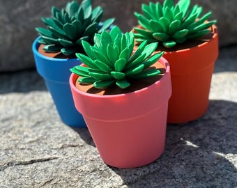Suculenta con chincheta - Organizador de escritorio impreso en 3D, linda decoración de oficina, accesorios para tablón de anuncios, regalo verde para amantes de las plantas