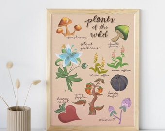 Guía botánica de Plantas de la Naturaleza: Impresión artística inspirada en Zelda