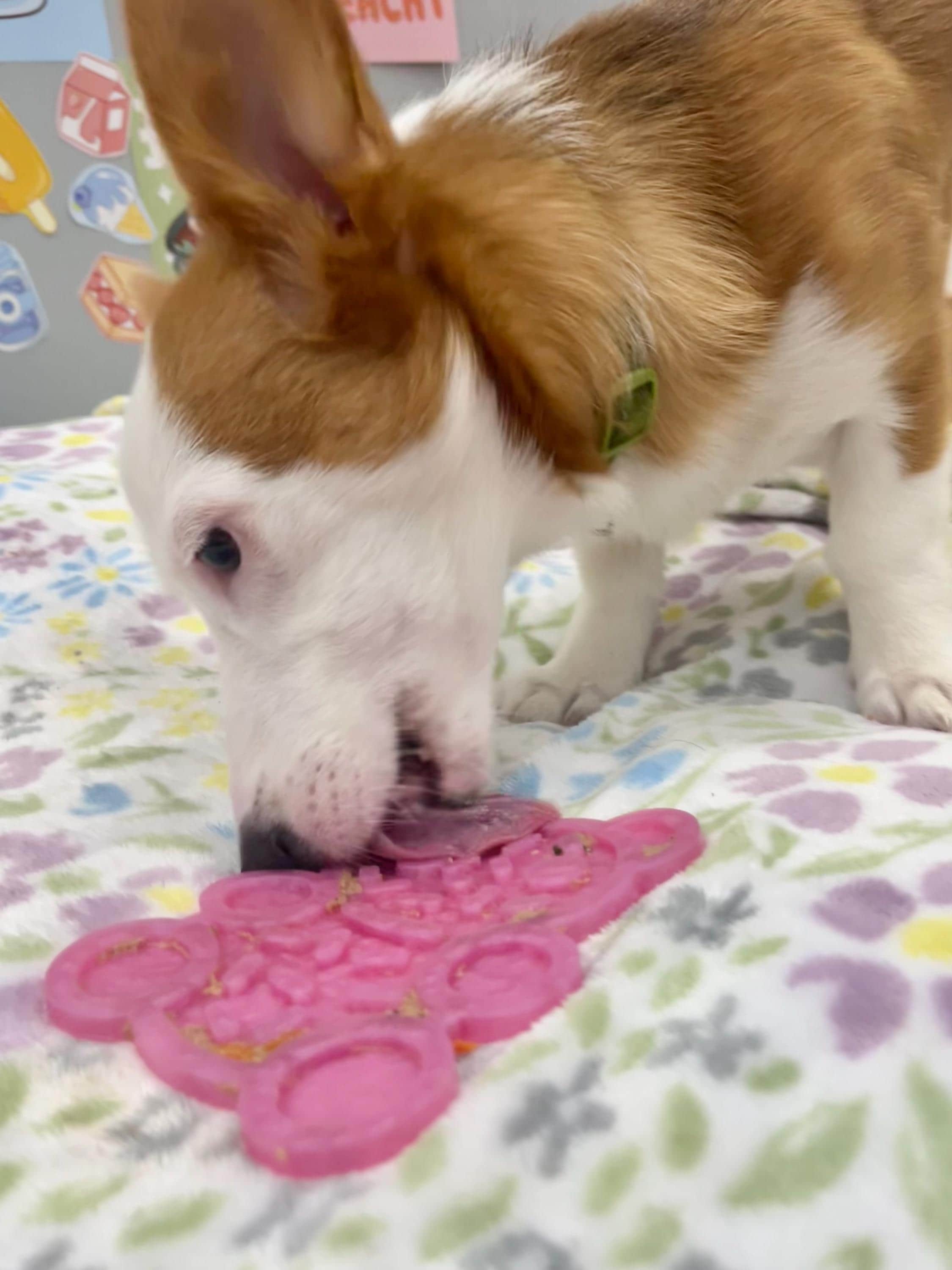 Silicone Cat Lick Mat - Slow Feeder & Enrichment Toy, 30x20cm, With Suction Cups, For Mental Stimulation & Calming