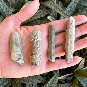 Inner Mongolian quartz, small points