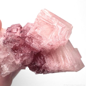 May include: A raw mineral specimen featuring translucent, cubic crystal formations in varying shades of pale pink and deep magenta. The structure displays sharp, geometric edges and a layered, stepped surface texture throughout the cluster.