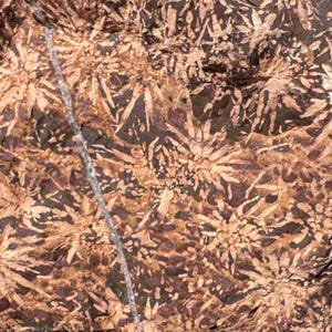 May include: Close-up of a rock surface with a complex pattern. The rock has a mix of brown, tan, and dark brown colors. A thin, light-colored vein runs diagonally across the image, adding contrast to the textured surface.