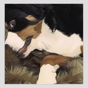 5"x 5" Blanko Grußkarten - Berner Sennenhund