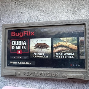 TV à écran plat suspendue – Décoration murale | Accessoires pour enclos pour dragons barbus et geckos