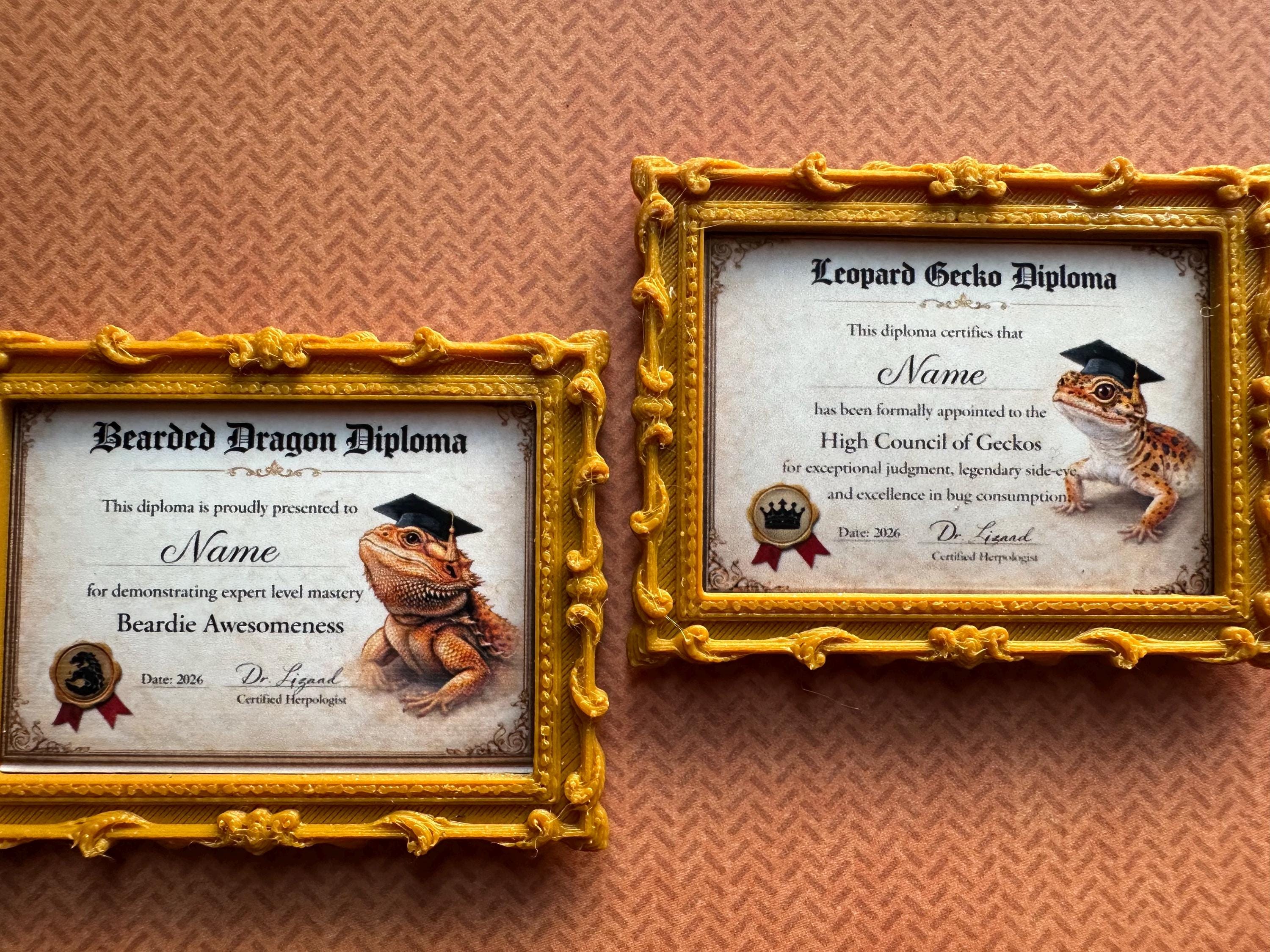 Custom Reptile Diploma Frame | Funny Bearded Dragon, Leopard Gecko ...
