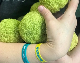 Seeds, Hedge Apple, Osage Orange, Horse Apple, Monkey Ball, Maclura Pomifera Tree Fruits