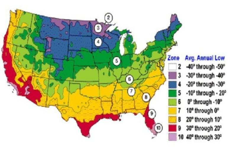 Особенности климата сша. Климатическая карта США. Климатические зоны США карта. Штаты США карта с климатом. Карта США по климатическим зонам.