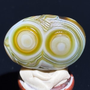 Belle pierre d'agate oeil d'agate de Gobi de Mongolie, pierre de palmier naturelle du désert, agate curative, cadeau unique.