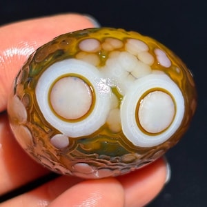 Belle pierre d'agate oeil d'agate de Gobi de Mongolie, pierre de palmier naturelle du désert, agate curative, cadeau unique.