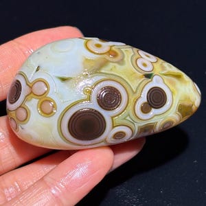 Belle pierre d'agate oeil d'agate de Gobi de Mongolie, pierre de palmier naturelle du désert, agate curative, cadeau unique.