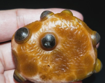 Gobi Eye Agate Stone From Mongolia, Natural Desert Tumbled Palm Stone.