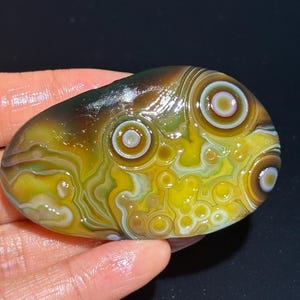 Belle pierre d'agate oeil d'agate de Gobi de Mongolie, pierre de palmier naturelle du désert, agate curative, cadeau unique.