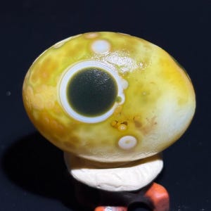 Belle pierre d'agate oeil d'agate de Gobi de Mongolie, pierre de palmier naturelle du désert, agate curative, cadeau unique.