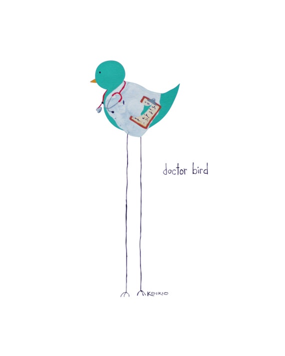 Picture of a doctor bird — 2