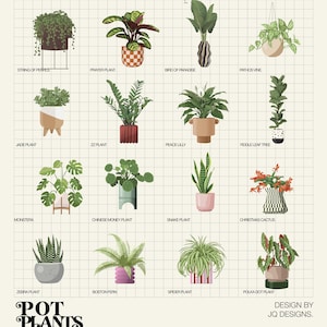 May include: A grid of illustrated potted plants, such as the Prayer Plant, Snake Plant, and Boston Fern. Each plant is in a decorative pot and labelled with its name. The words "POT PLANTS" are at the bottom, with the designer's name.