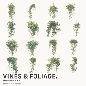 Set of 16 Isometric Vine Vector Set - Instant Digital Download
