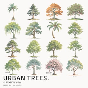 May include: An illustration of various urban trees in an elevation view. The image features trees such as palm, pine, maple, apple, willow, oak, cedar, chestnut, bay laurel, birch, poplar, eucalyptus, Japanese cherry, and gum trees. The text "URBAN TREES" is displayed.