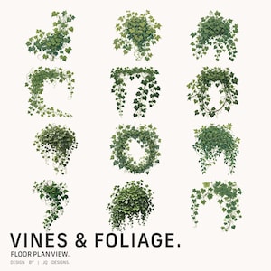 Set of 12  Plan View of Vines & Foliage -  Vector Set - Instant Digital Download