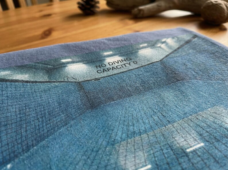 May include: A blue textile with a graphic of a pool interior, lit by overhead lights. The text "NO DIVING CAPACITY 0" is printed across the top. The image has a textured appearance.