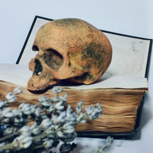 decorative sculpture, figurine, human skull, handmade 11 см. Gift for a doctor, medic, Halloween decor. decor for the bar counter