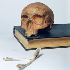 decorative sculpture, figurine, human skull, handmade 11 см. Gift for a doctor, medic, Halloween decor. decor for the bar counter