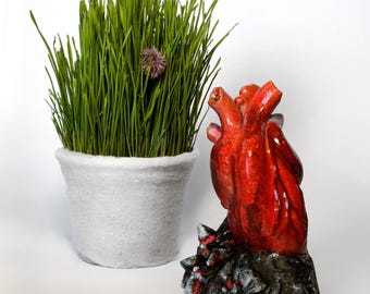 Escultura de corazón anatómico – Arte de yeso rojo brillante, regalo médico gótico