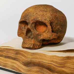 decorative sculpture, figurine, human skull, handmade 11 см. Gift for a doctor, medic, Halloween decor. decor for the bar counter