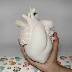 Puede incluir: Una escultura de corazón de cerámica blanca con detalles anatómicos precisos. El corazón se sostiene en una mano, mostrando su tamaño y diseño realista.