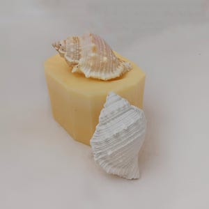 May include: Two seashells, one white and one with brown and white markings, are sitting on a yellow silicone mould.