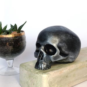 decorative sculpture, figurine, human skull, handmade 11 см. Gift for a doctor, medic, Halloween decor. decor for the bar counter