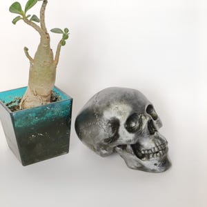 decorative sculpture, figurine, human skull, handmade 11 см. Gift for a doctor, medic, Halloween decor. decor for the bar counter