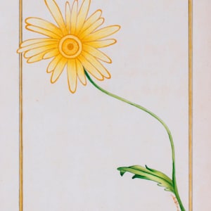 Margherita, Fiore