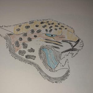 Jacksonville Jaguars