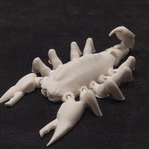 Scorpion