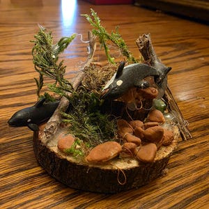 May include: A miniature diorama featuring two black and white orcas in a naturalistic setting. The scene includes moss, small stones, and greenery, all set on a circular wooden base. Tiny lights add a whimsical touch.