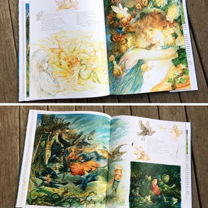 Goblin Market Book illustrated art book by Omar Rayyan Rossetti poem graphic novel literature fantasy image 3