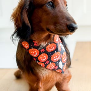 Halloween Pumpkins Dog Bandana with Scrunchie – Handmade in USA,Easy Slip-On Bandana,Fabric Pet Accessory, Premium Dog Scarf, Dog Mom Gift